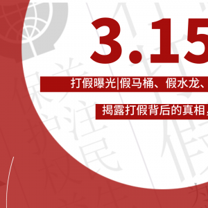 重拳出击！315打假曝光|假马桶、假水龙、假冒！揭露打假背后的真相，触目惊心...